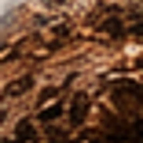 Nebati Toprak